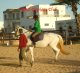 Stage équitation à Djerba : Apprendre à faire du cheval