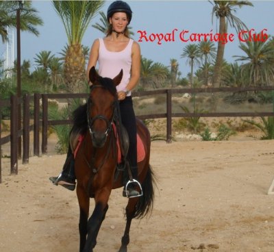 Leçons d&rsquo;équitation à Djerba