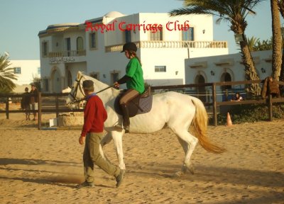 Stage équitation à Djerba : Apprendre à faire du cheval